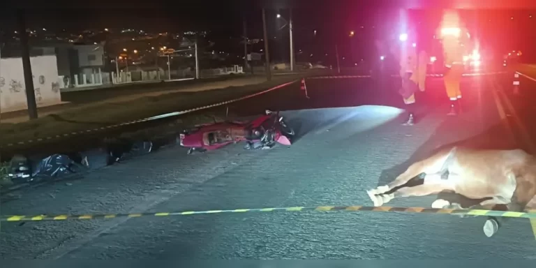 Motociclista morre em colisão com cavalo na PR-151