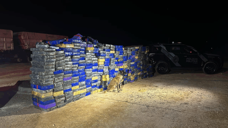 Cão de faro Bolt localiza grande quantidade de drogas nos Campos Gerais