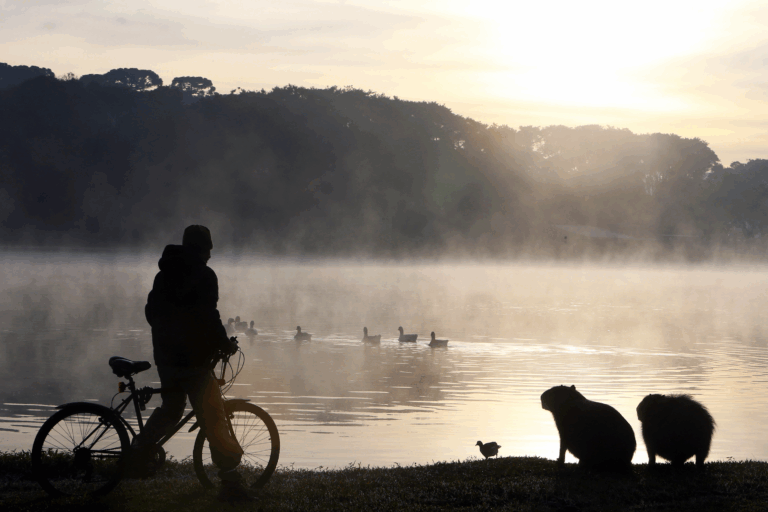 Após recordes de frio em todo o Paraná nesta quinta, termômetros vão cair ainda mais