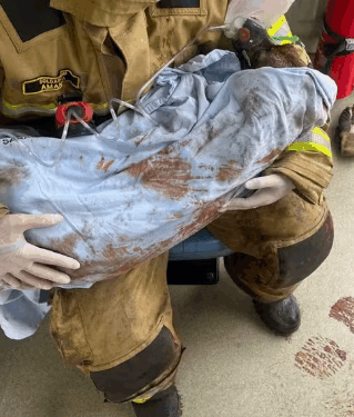 Tentativa de queimar formigueiro termina em incêndio e mobiliza bombeiros no Paraná