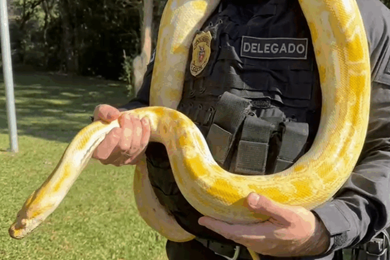 Polícia Civil resgata mil animais e desarticula um dos maiores grupos de tráfico internacional do País