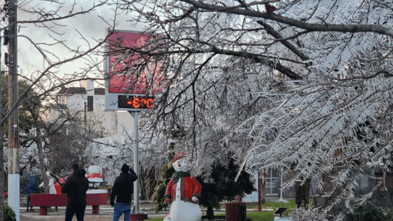 Município de SC registra a menor temperatura do ano no Brasil, com -29°C de sensação térmica