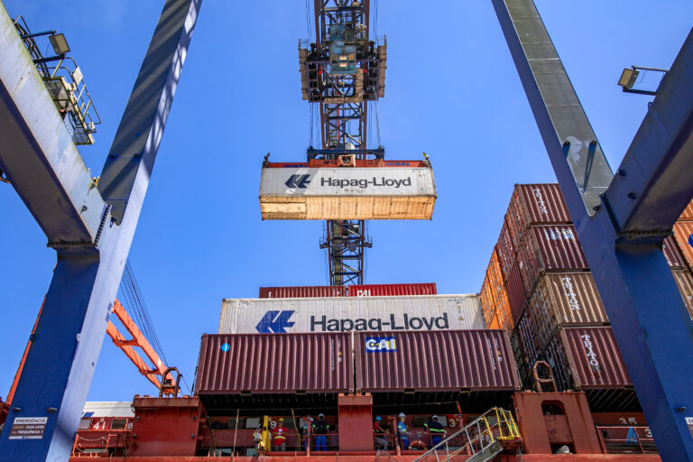 Com 44% das exportações de frango, Paranaguá é a principal rota de saída da carne brasileira