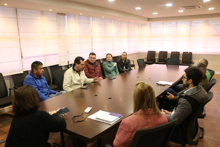 Procon de Castro dialoga com postos de combustíveis para garantir repasse de descontos à população