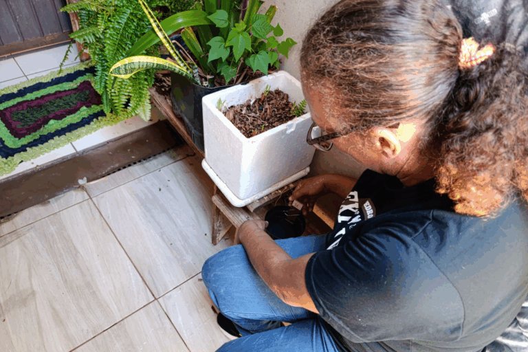 Paraná tem queda de 85% nos casos de dengue em 2025, aponta Secretaria da Saúde