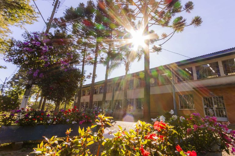 Colégio Agrícola Augusto Ribas é a melhor escola pública de PG no Enem 2024