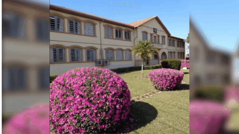 Colégio Meneleu oferta curso gratuito em Administração