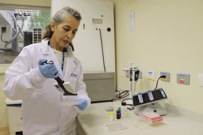 Alimentação escolar: controle rigoroso garante cardápios nutritivos e saudáveis no Paraná