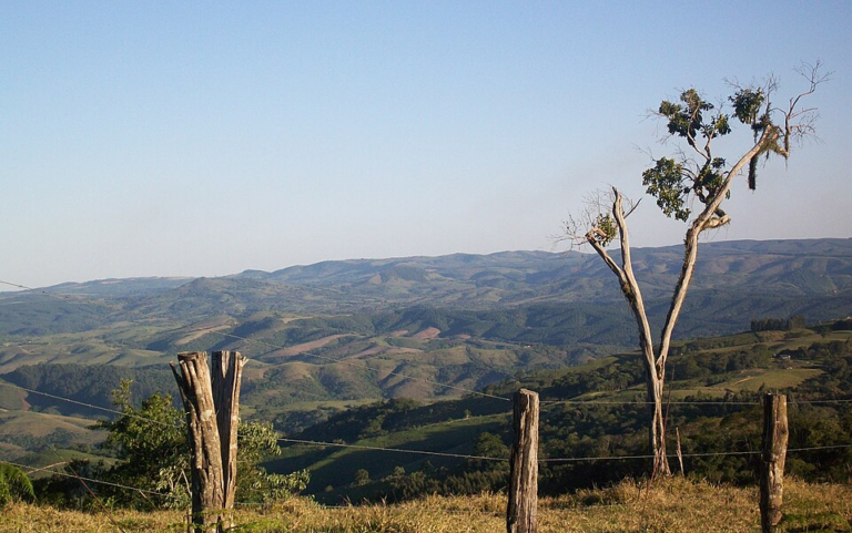 Ponta Grossa tem o dia mais frio de 2026