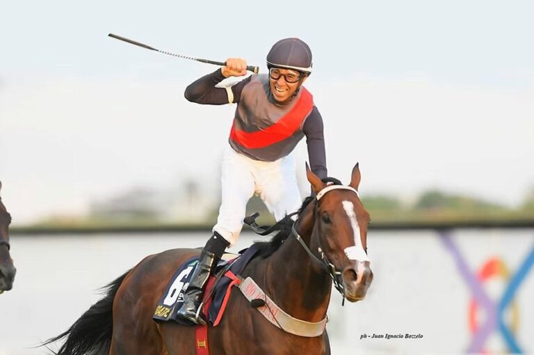 Cavalo criado no Paraná faz história e é eleito o cavalo do ano na Argentina