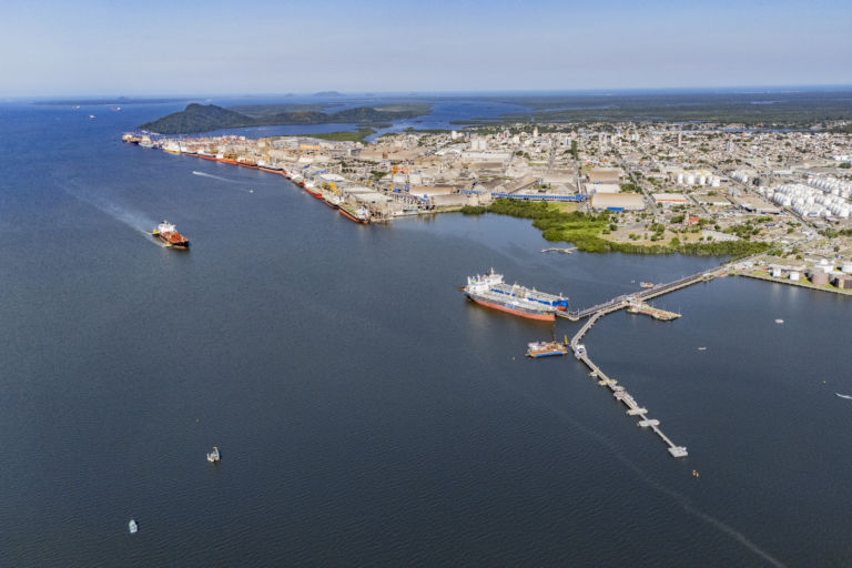 Porto de Paranaguá concentra 70% das exportações brasileiras de óleo de soja no 1º trimestre