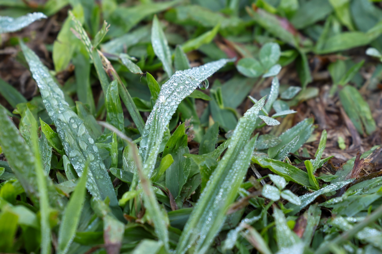 VÍDEO: Paraná tem primeiras temperaturas negativas e recorde de frio no ano