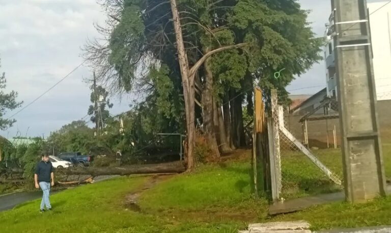 VÍDEO: Temporal com granizo surpreende moradores e causa estragos em Ponta Grossa