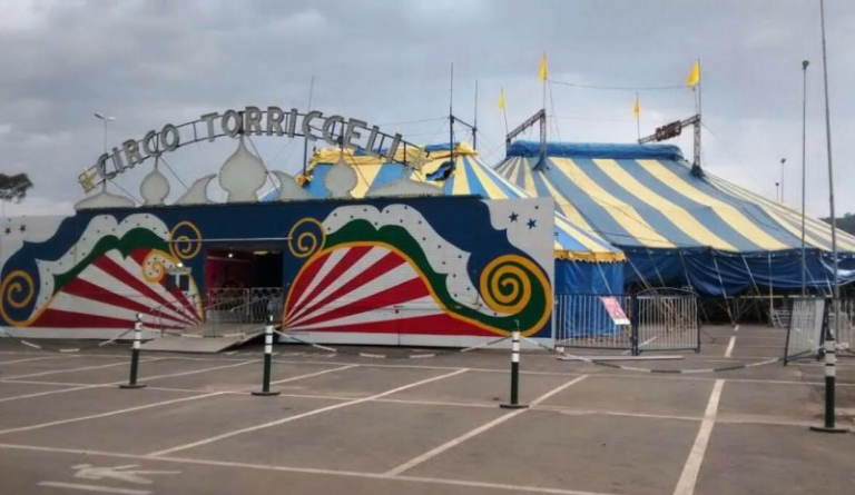 Circo Torricceli estreia em Ponta Grossa nesta sexta (26)