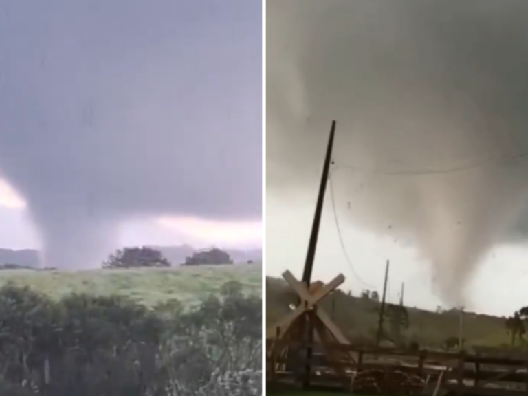 Tornado causa destruição e mata animais em área rural entre Piraí do Sul e Jaguariaíva
