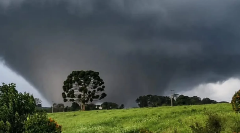Paraná já registrou 10 tornados em 2026; veja onde