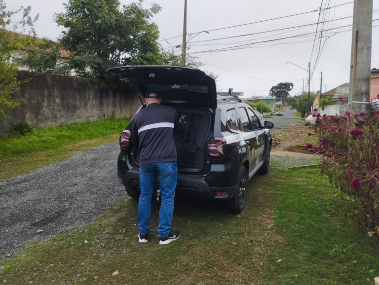 Operação policial em Ponta Grossa prende suspeito de abusar de cinco adolescentes
